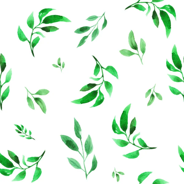 植物水彩シームレスパターン。シンプルな緑の植物の葉、白い背景の枝 — ストック写真