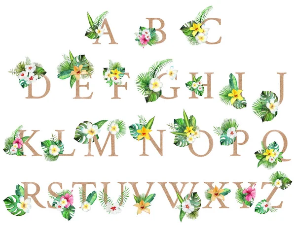 トロピカルアルファベットゴールデン文字と構図 — ストック写真