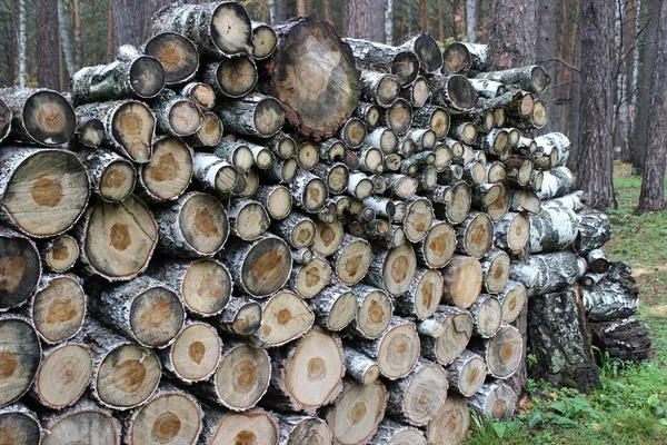 Houtstapel van brandhout — Stockfoto