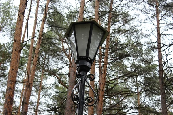 Lampe im Park — Stockfoto