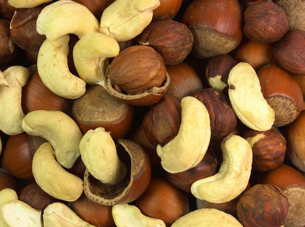 Assortment of tasty nuts — Stock Photo, Image