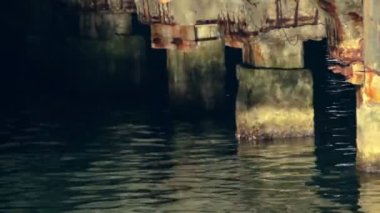 Güneş altında kalemizi bakıyor