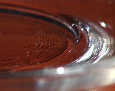 baharat