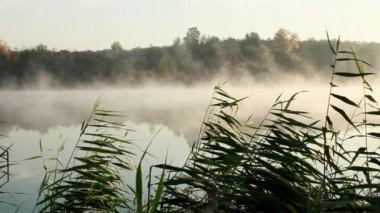 puslu sabah