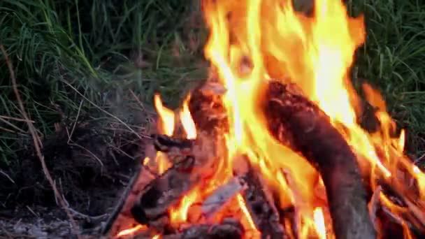 篝火 — 图库视频影像
