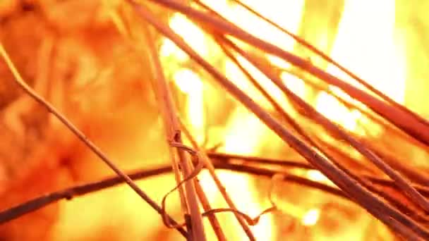 feu de joie