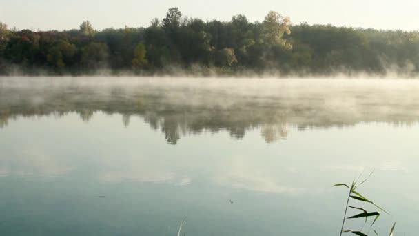 霧のかかった朝 — ストック動画