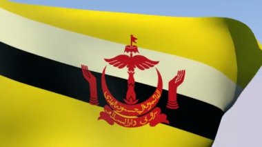 brunei bayrağı