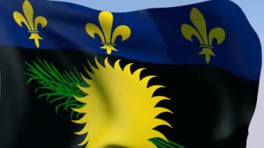 Guadeloupe (gayri resmi bayrağı)