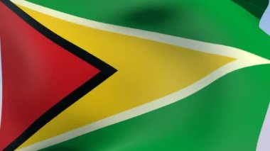 Guyana Bayrağı