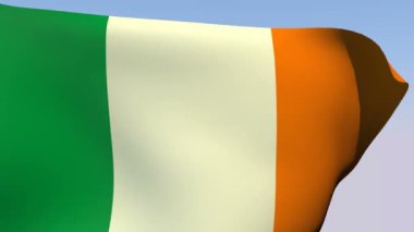 İrlanda Bayrağı
