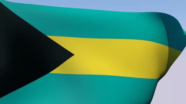 Vlag van Bahama 's — Stockvideo