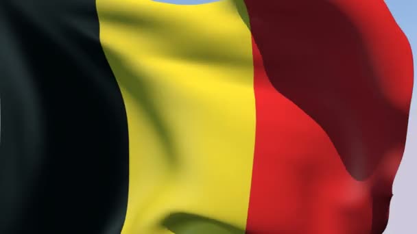 Belçika bayrağı — Stok video