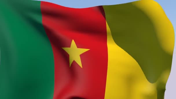 Flag of Cameroon Republic — Stock Video