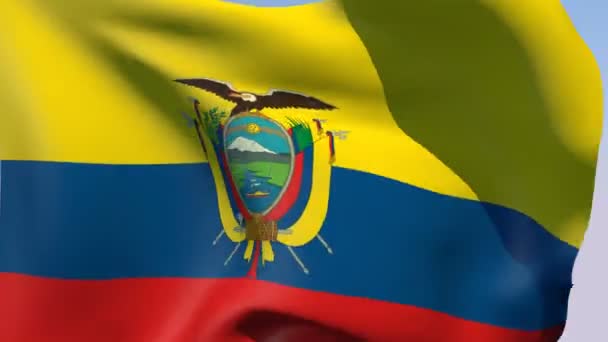 Vlag van ecuador — Stockvideo