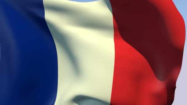 Flag of France Republic — Stock Video