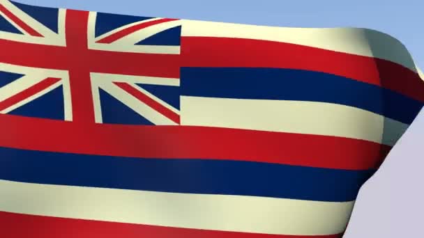 Flagga hawaii — Stockvideo