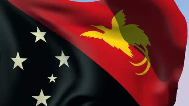 Flag of Papua New Guinea — Stock Video