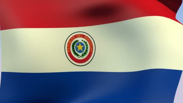 Vlag van paraguay — Stockvideo