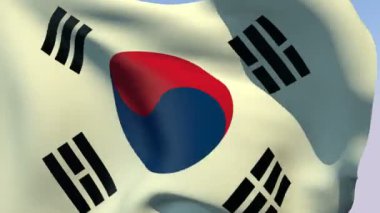 Güney Kore bayrağı
