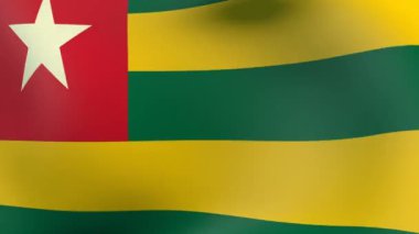 togo Cumhuriyeti bayrağı