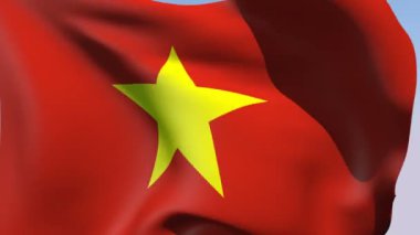 vietnam bayrağı