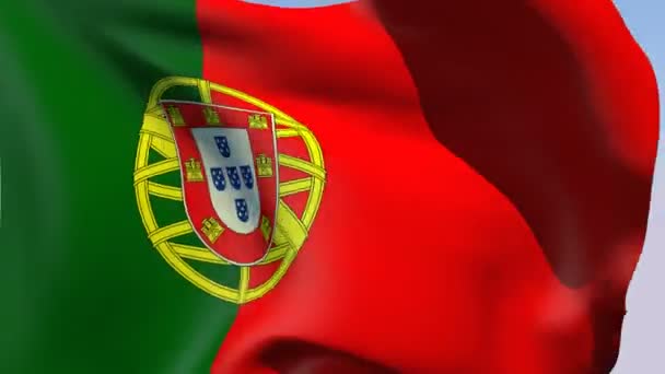 Vlag van portugal — Stockvideo