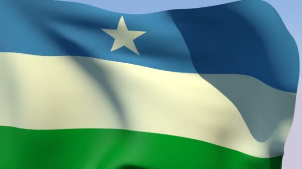 Vlag van Somalië — Stockvideo