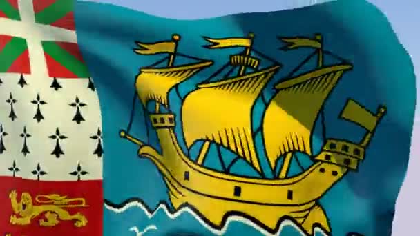 Flagge von Saint-Pierre und Miquelon — Stockvideo