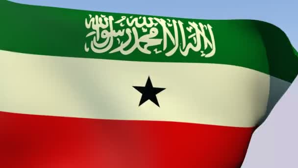 Флаг Сомалиленда — стоковое видео