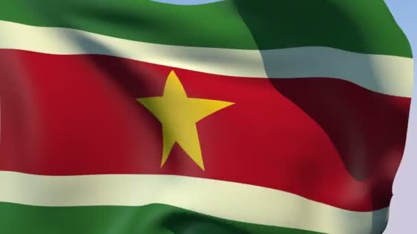 Flaga Surinamu — Wideo stockowe