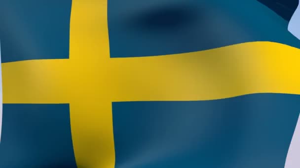 Flag of Sweden — Stock Video