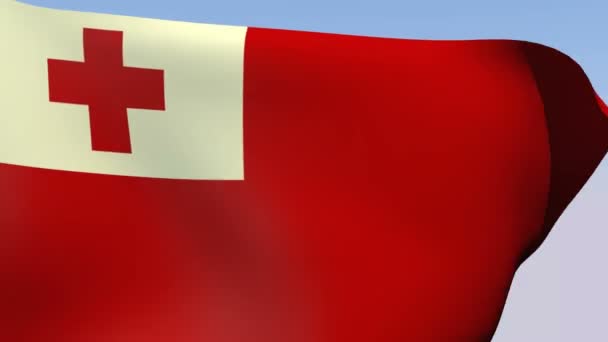 Flag of Tonga — Stock Video