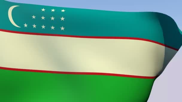 Flag of Uzbekistan — Stock Video