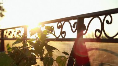 Sonbahar Yaprakları