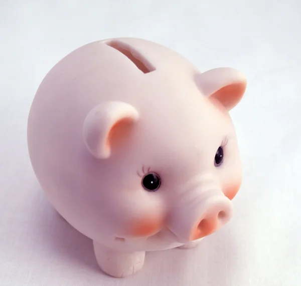 Pink piggy bank Stock Image