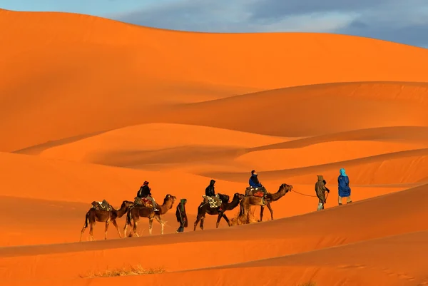 Camel caravan — Stock Photo, Image