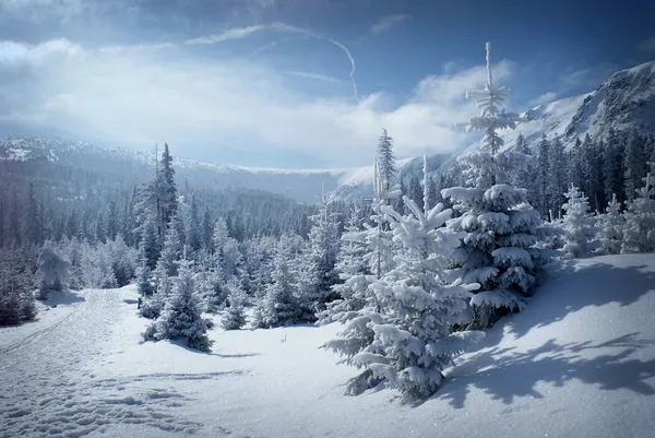 Verschneite Berglandschaft — Stockfoto