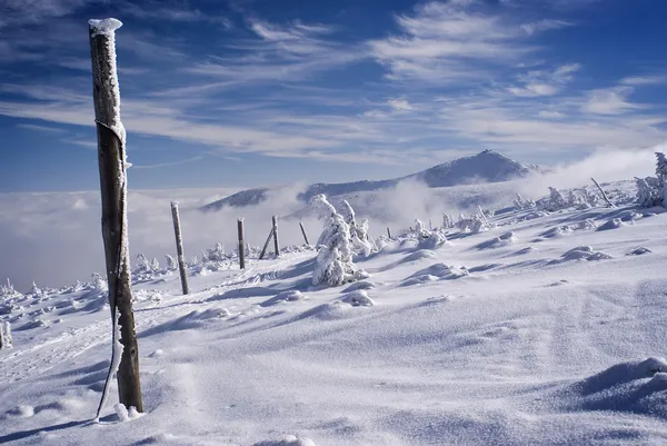 Vinterlandskap — Stockfoto