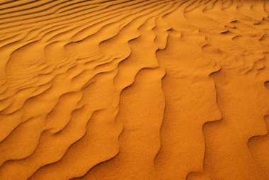Sahara kum dalgaların