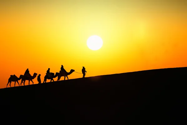 Silhouette of a group of touristes — Stock Photo, Image