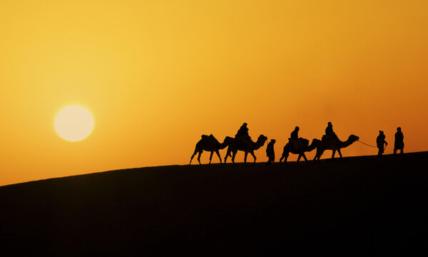 Silhouette of a camel caravan