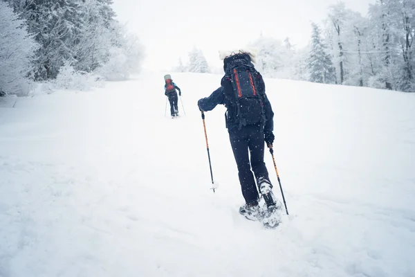 Caminhando na colina nevada — Fotografia de Stock