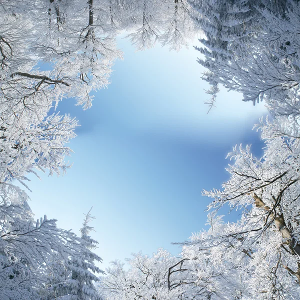 Moldura de inverno — Fotografia de Stock