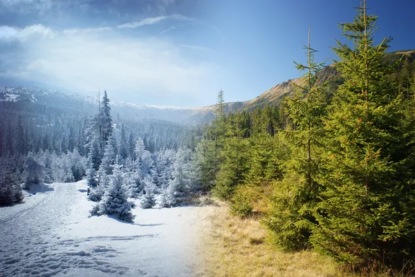 Inverno e verão nas montanhas — Fotografia de Stock