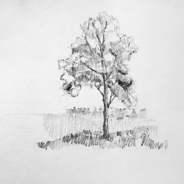 Tree sketch — Stock Photo, Image