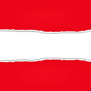 Yırtılmış kağıt