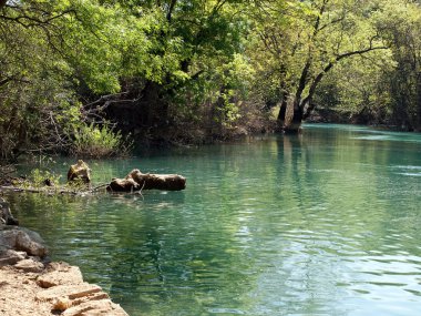 Güzel nehir manzarası