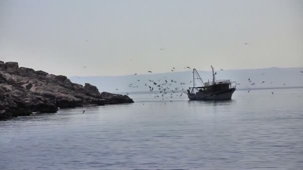 Barco de pesca com gaivotas — Vídeo de Stock