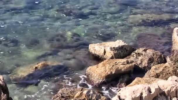 Rocas en el mar — Vídeos de Stock